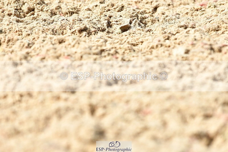 230701A-155656-07292 - Cls 13 Adv Medium 91