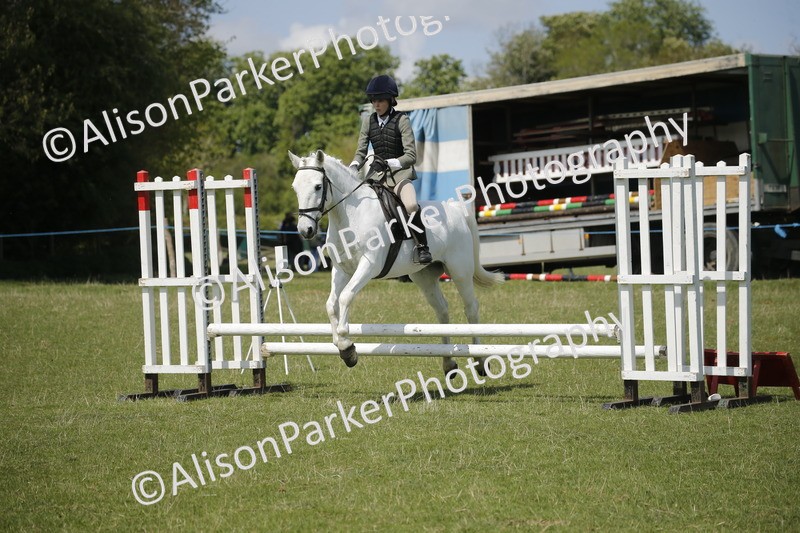 20250427-3550 - Class 14 - Absolute Novice 70cm