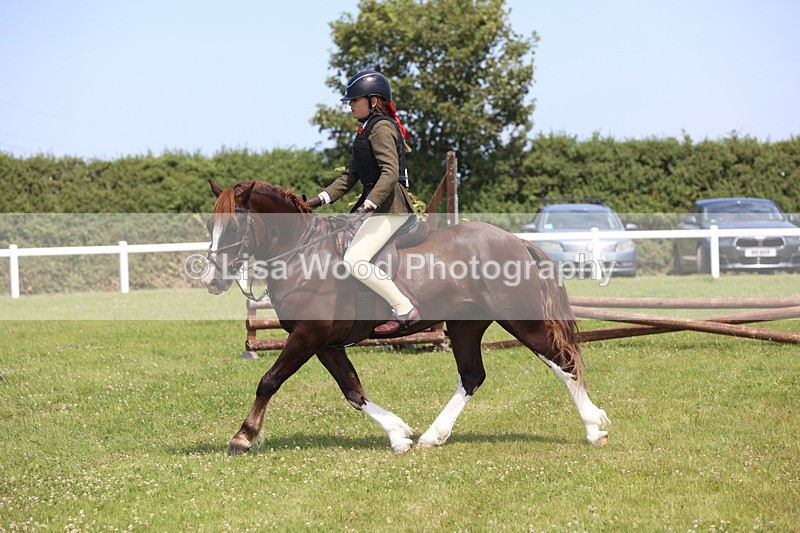 JPP_2421 - Class 21: Working Hunter 60cm