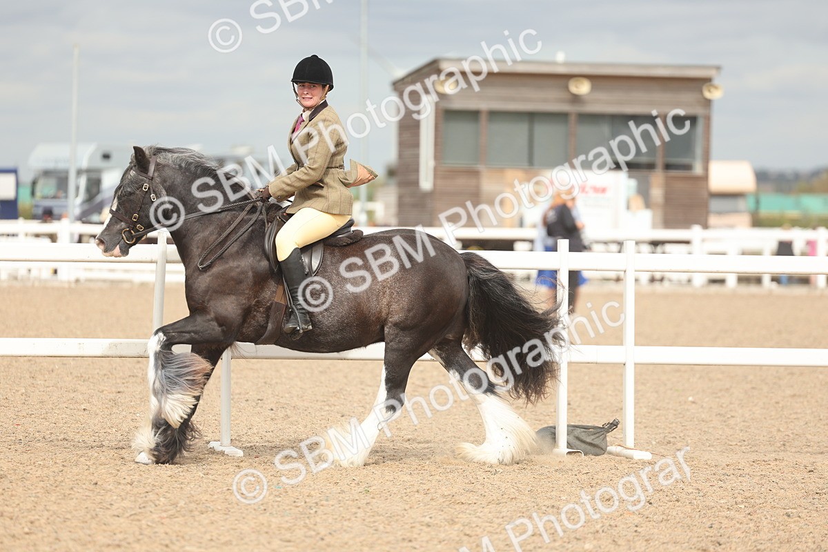 SBM_18021 - Class 314 - Family Horse Pony