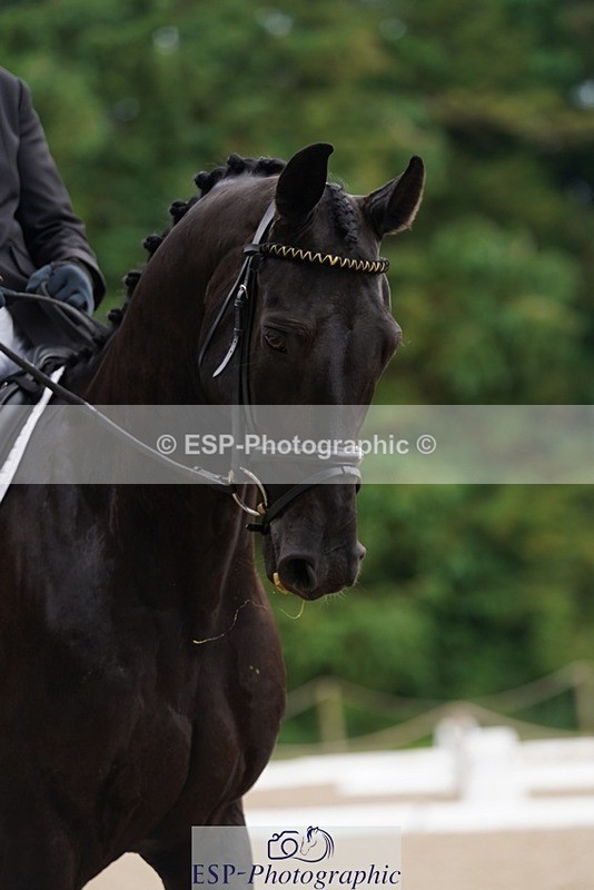 240721-095146-07313 - 219-Polly_Walker-CONSTANCIA_RIO