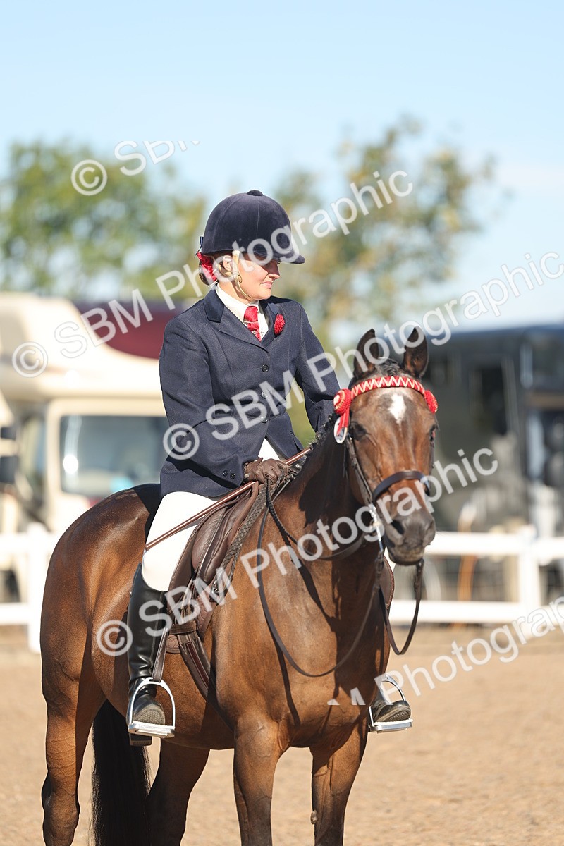 SBM_12222 - Class 303 - Ridden Pure Bred Horse Pony