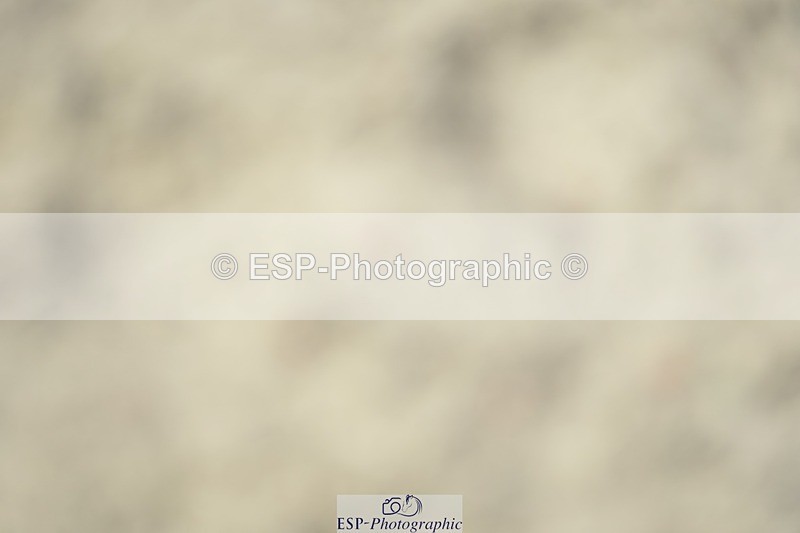 230909-130024-05886 - Cls 17 Snr 1.05m Open