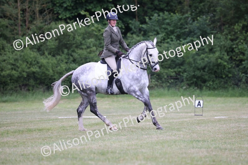 20250605-0312 - Class 3 - Prelim 3