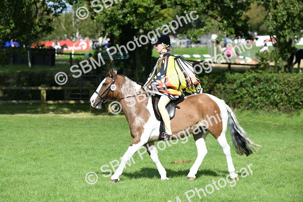 SBM_47097 - S12 - Family Horse & Pony
