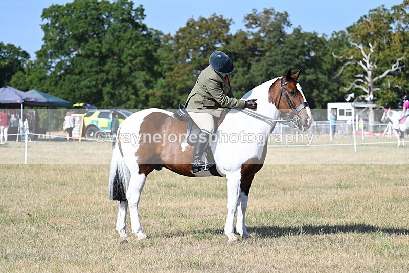 WJ7_2959 - Class 8 Ridden Tack & Turnout