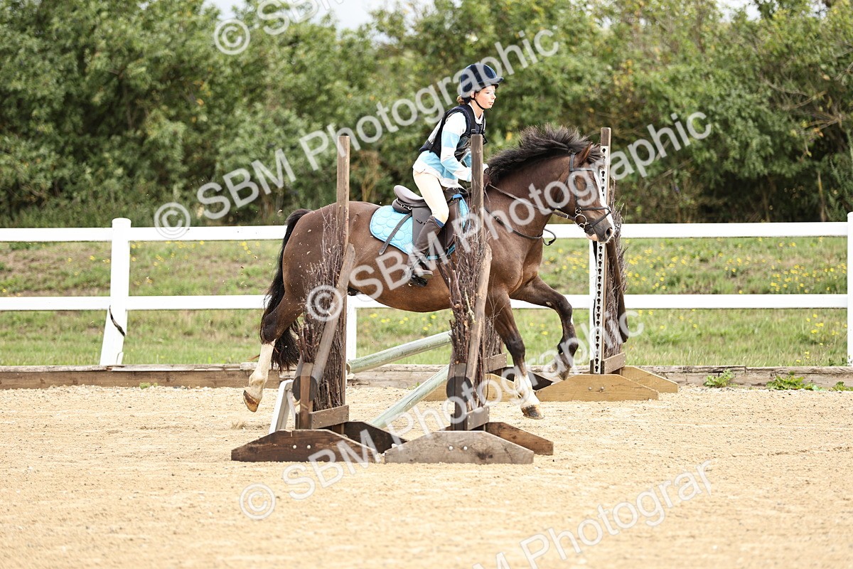 SBM_002900 - 50cm