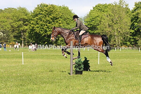 IMG_4460 - Working Hunter