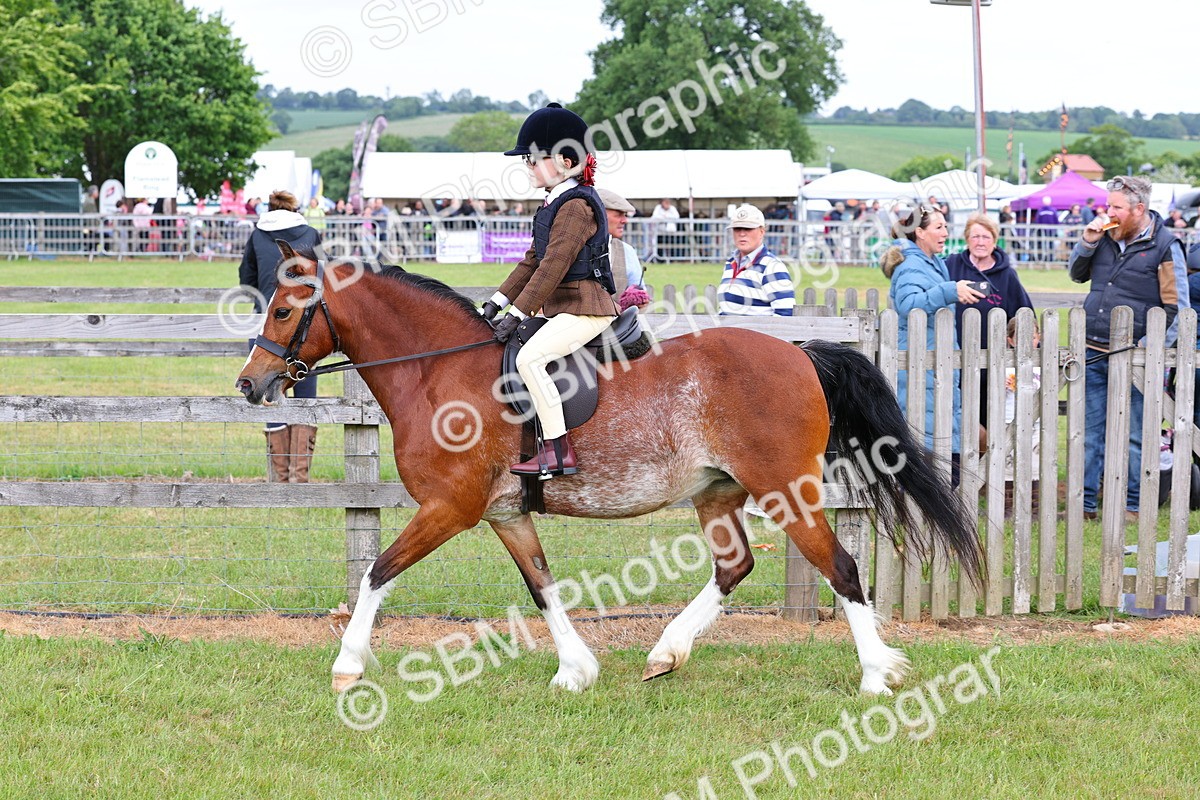 SBM_08580 - Class 42-43 - LIHS BSPS Heritage Working Sports Pony