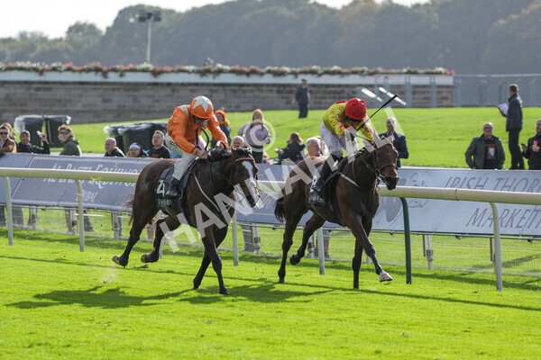 yr07102022r3-30 - Race 3 3.15pm British EBF £100,000 2yo Series Final (Colts and Geldings)