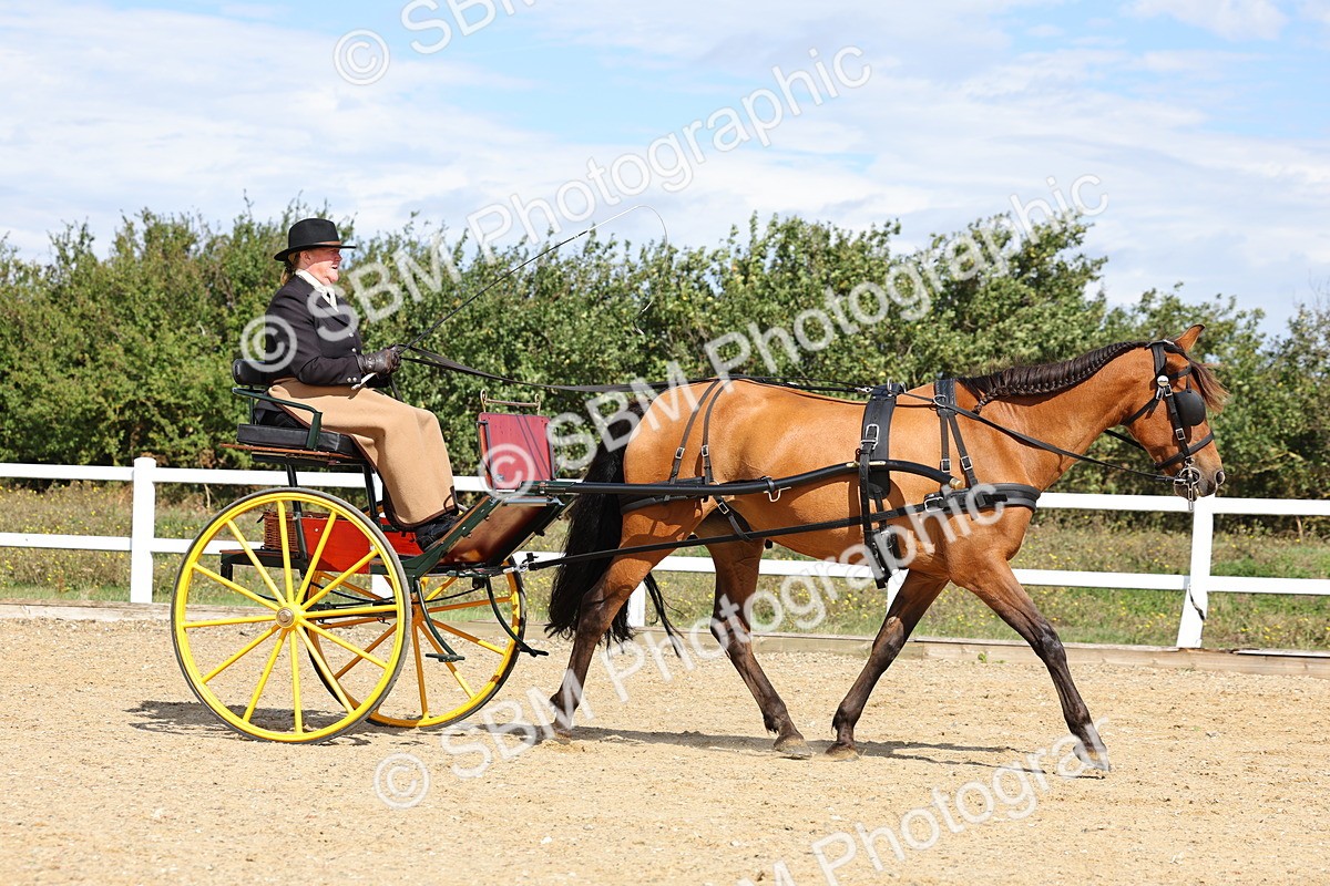 SBM_000880 - Class 8 - Novice Horse or Pony to any vehicle