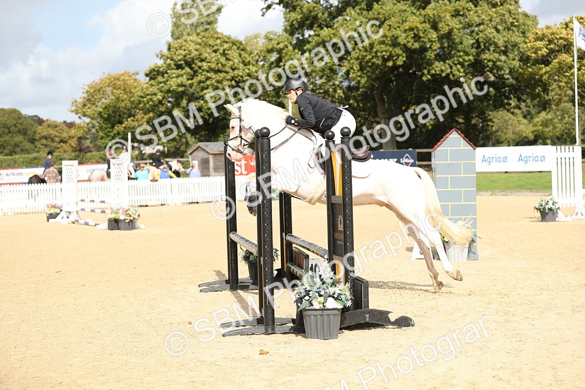 SBM_08424 - J30 - Senior Horse & Pony 70cm Championship