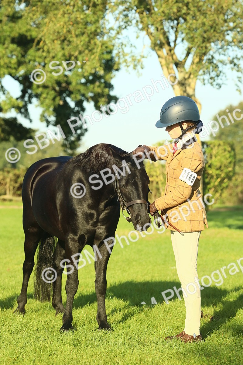 SBM_57457 - S37 - Starters In Hand Showing