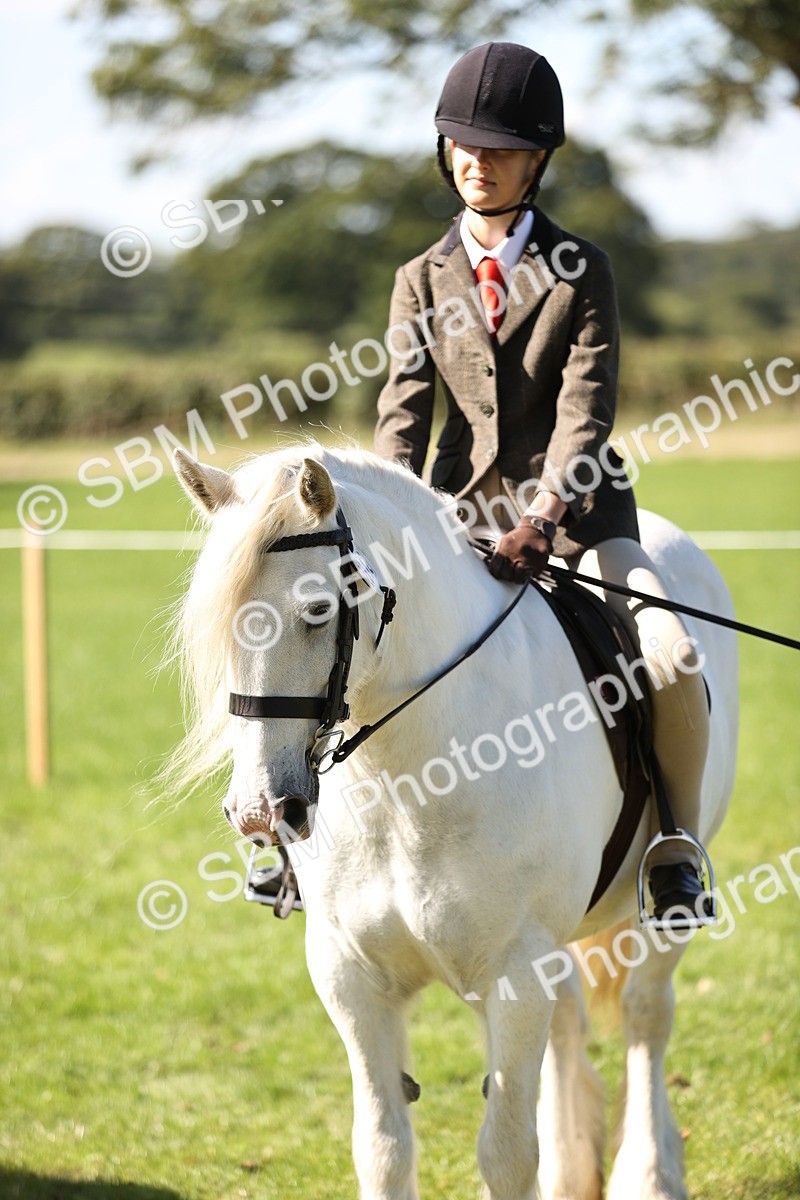 SBM_19354 - S3 - TSR Ridden Pony Showing