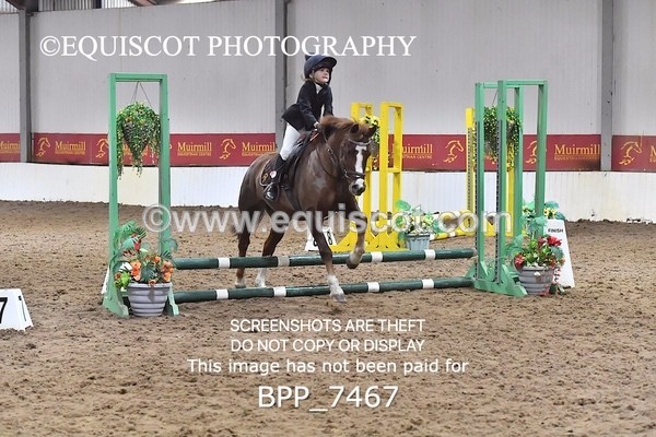 BPP_7467 - 40CM WORKING HUNTER