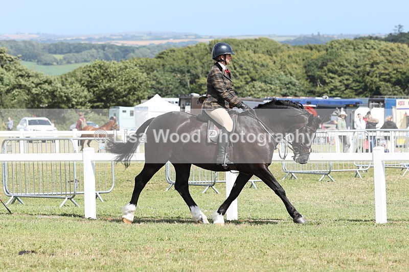 JPP_2259 - Class 19: Working Hunter 60cm