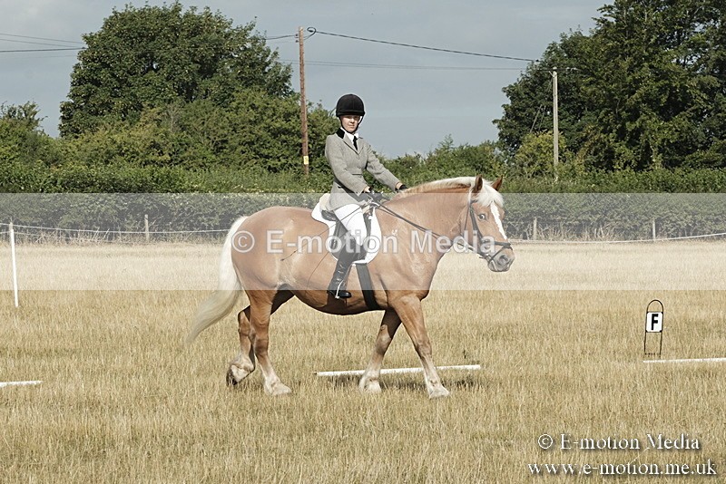 _PJP5573 - Dressage Classes BVRC Show 2018