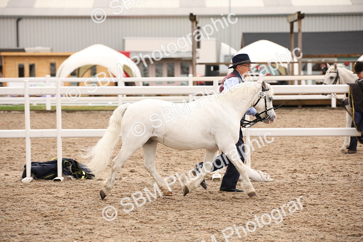 SBM_21448 - Class 706 - IH  Veteran