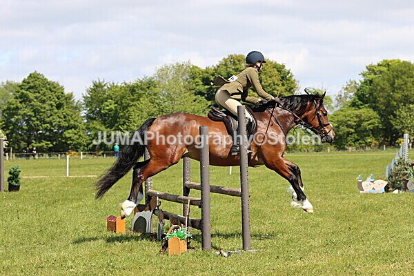 IMG_4215 - Working Hunter