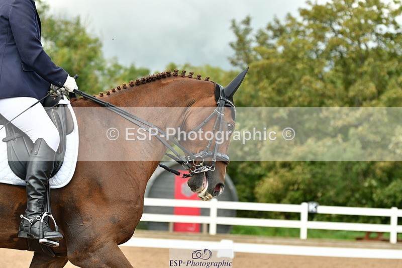 230912A-150343-01467 - Cls 11 Medium 73