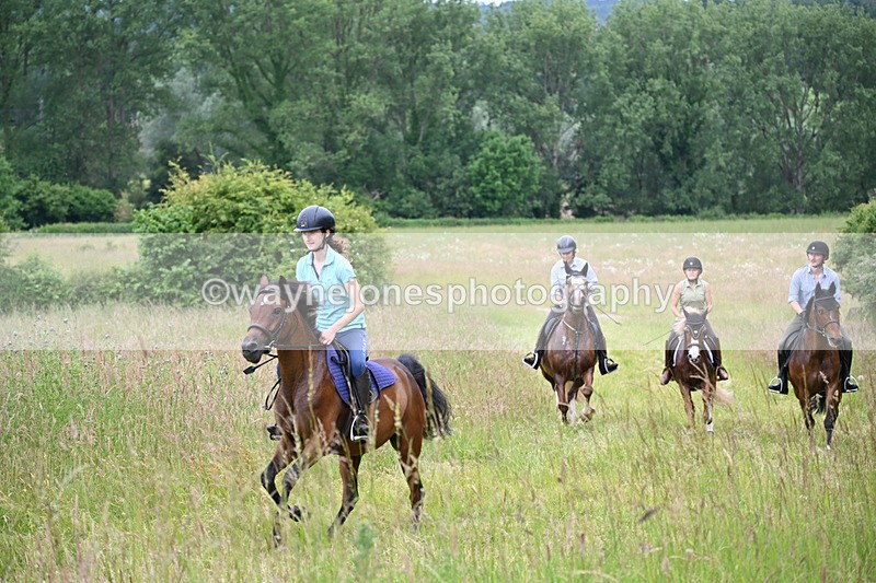WJ6_8443 - Camera 1 Gallops