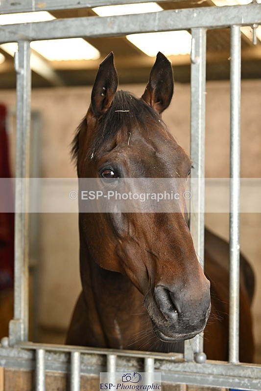 240809A-090927-00061 - Stable Shots