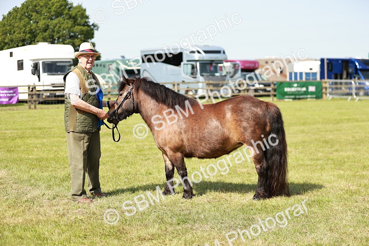 SBM_01854 - Class 14-23 - Mountain & Moorland In Hand Non Welsh