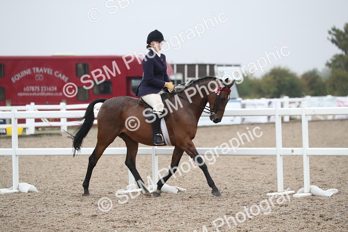 SBM_21565 - Class 602 - 2025 Area - Ridden Veteran