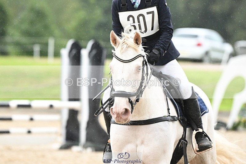 240824X-123113-25503 - 70cm Jump Off