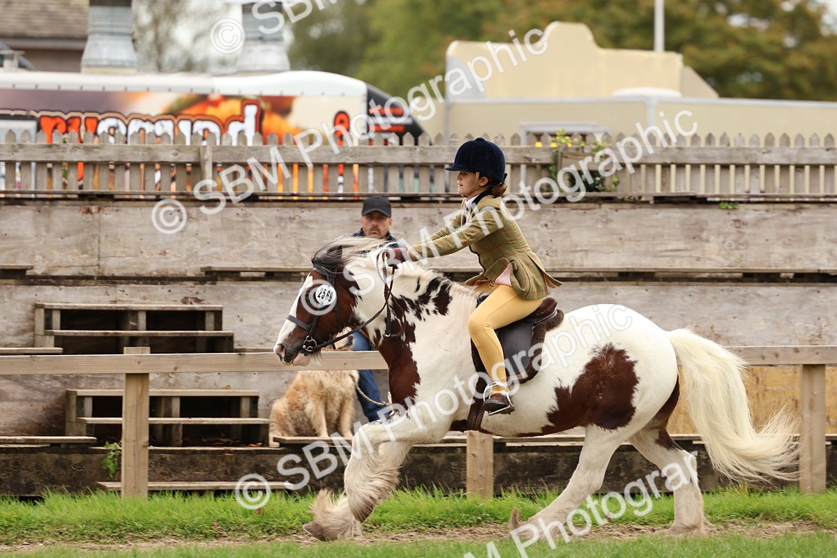SBM_64599 - S58 - Coloured Pony Ridden