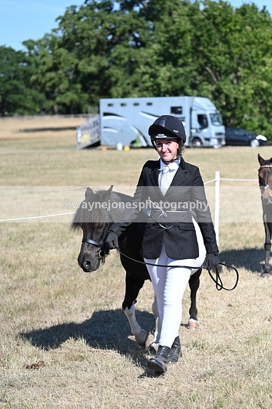 WJ7_1855 - Class 43 Best Six Legs (In hand)