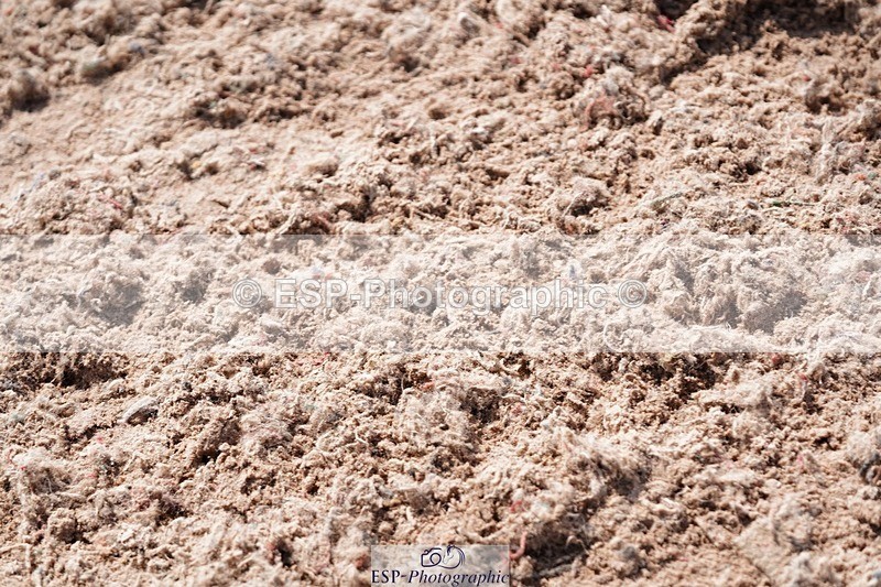 250511-141328-14221 - Cls 34 1.05m Amateur Quali