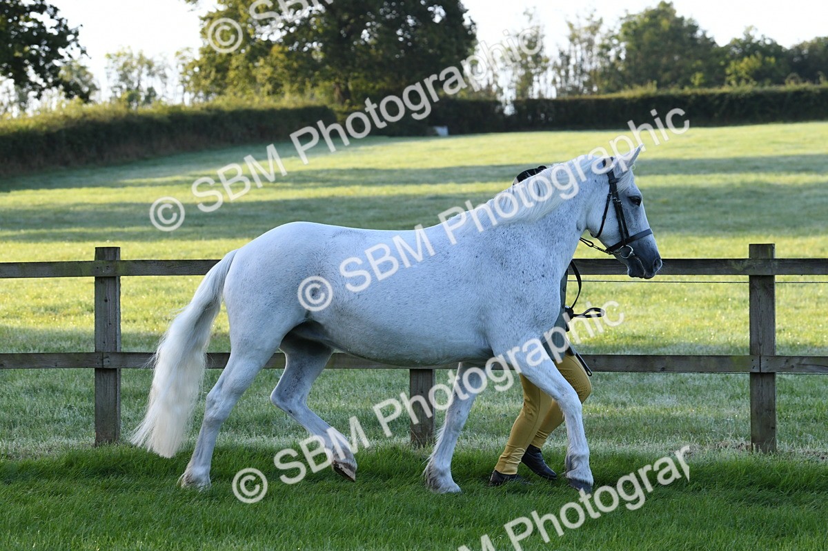 SBM_32598 - S15 - Condition & Turnout In Hand