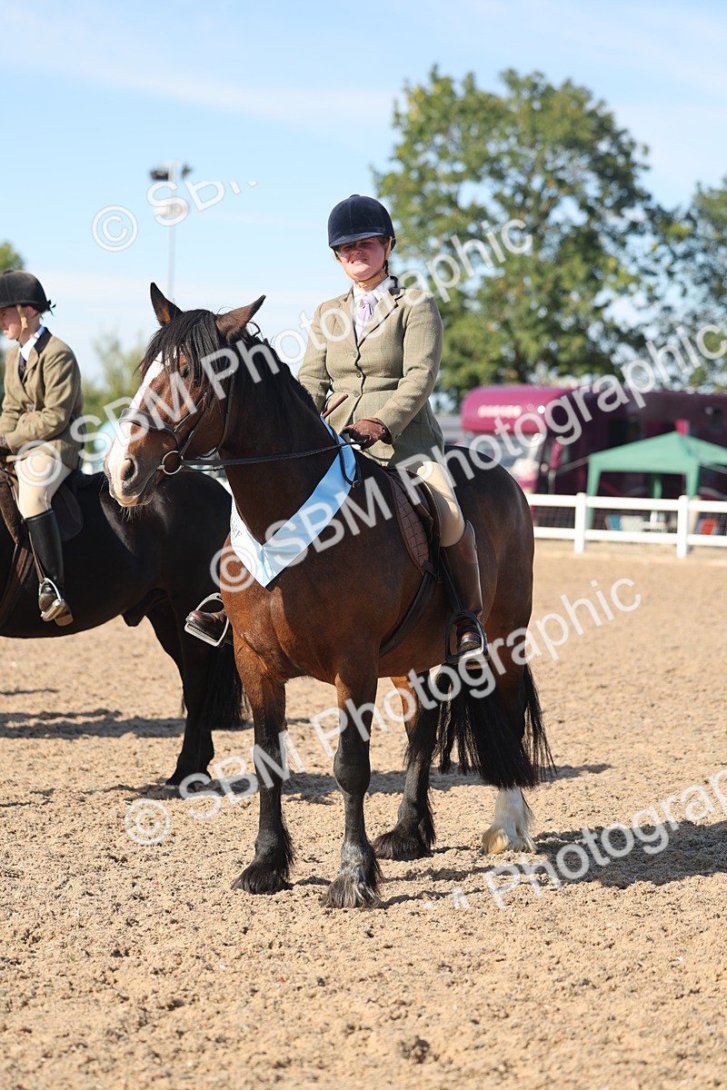 SBM_12427 - Class 304 - Ridden part Bred Horse Pony