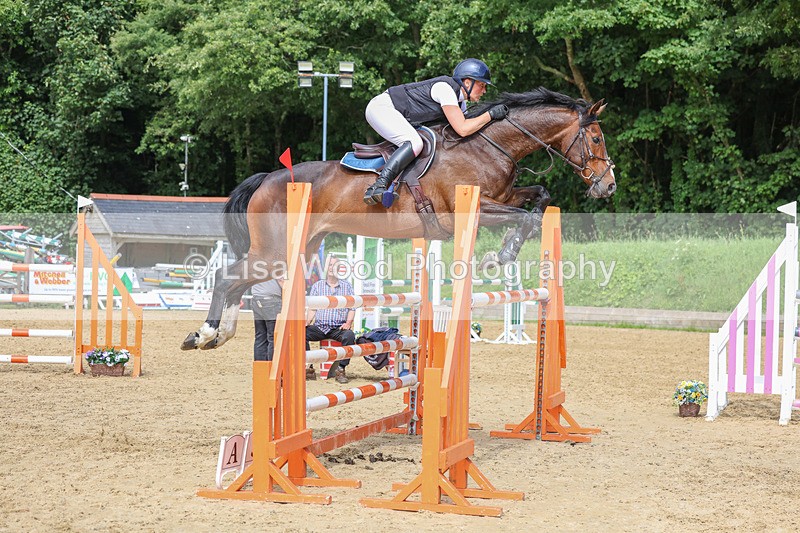 3E7A7619 - Class 9: Senior Foxhunter/1.20 open
