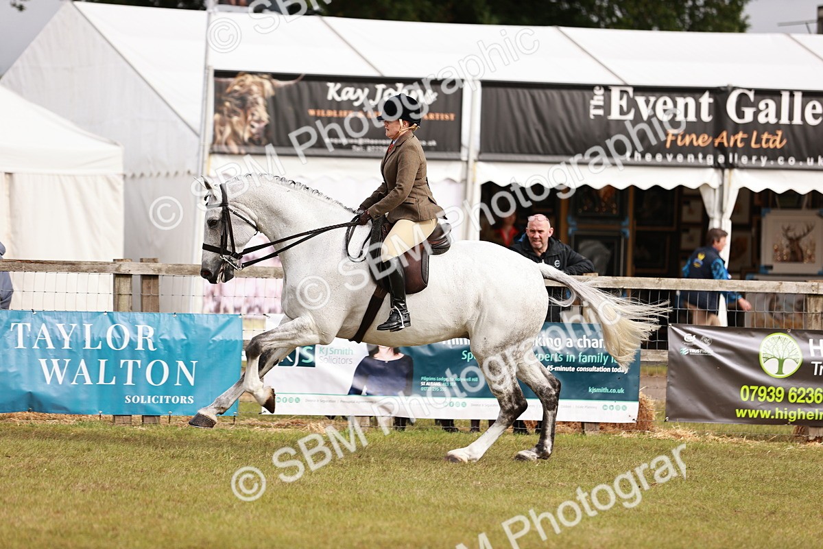 SBM_10874 - Class 81-84 - RIHS Ridden hunters Inc Ladies Hunter