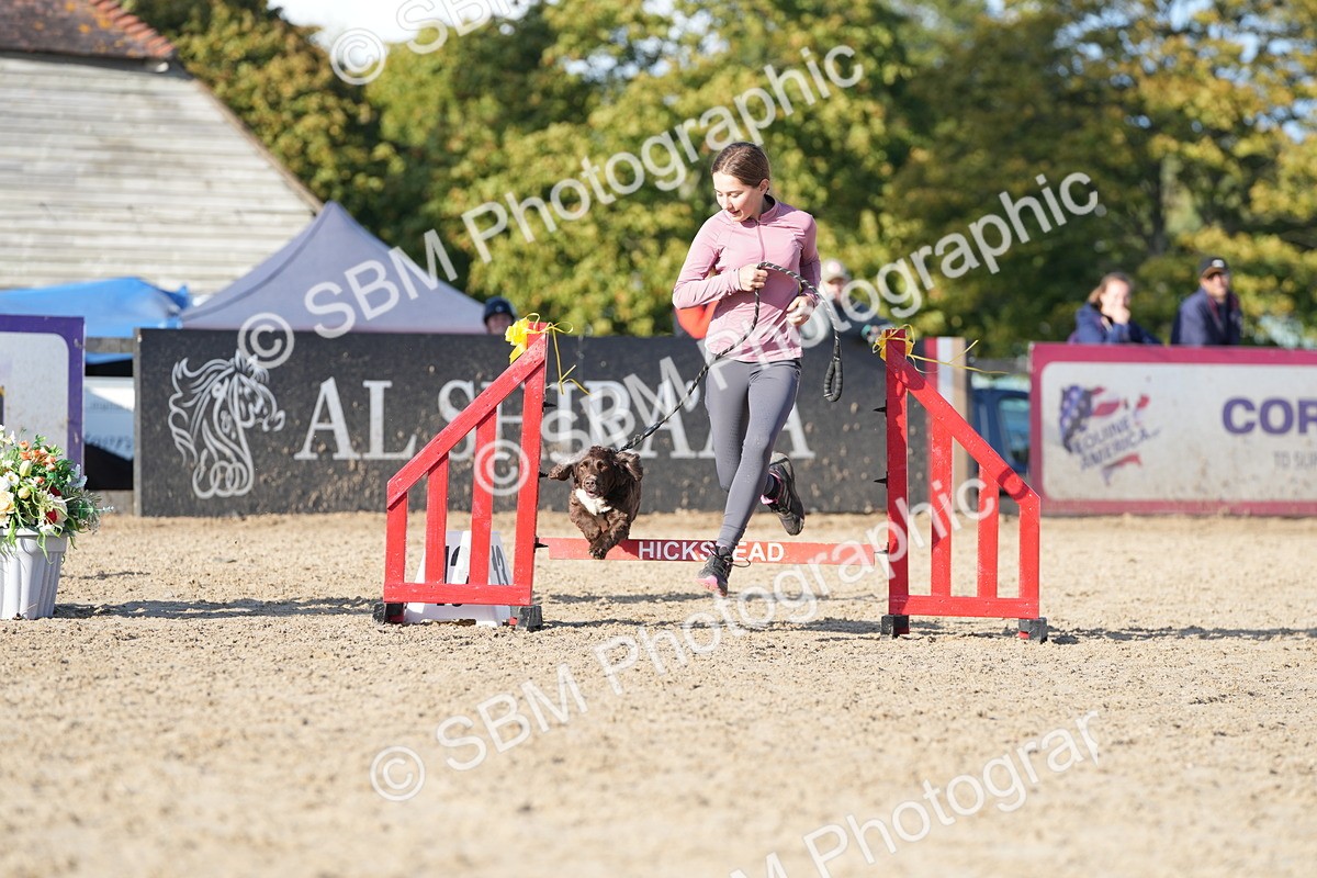 SBM_28958 - J43 - Horse & Hound Open 50cm