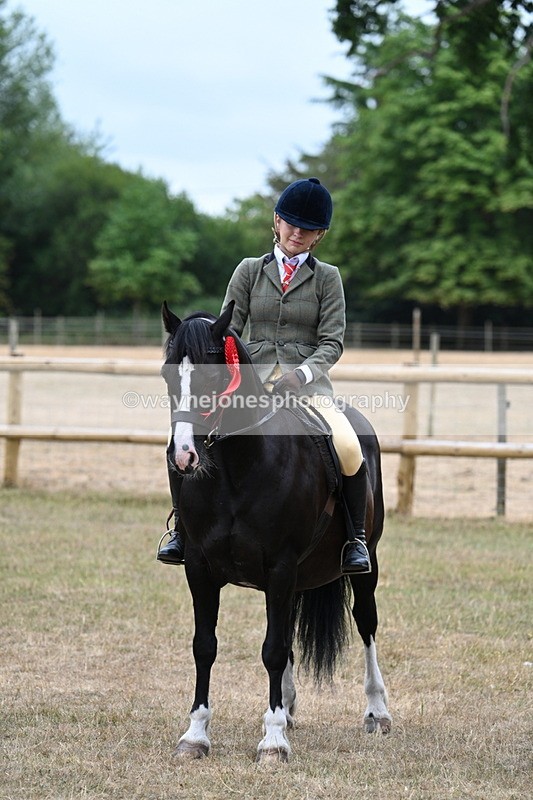 WJ7_0687 - Class 6 Ridden Mountain and Moorland