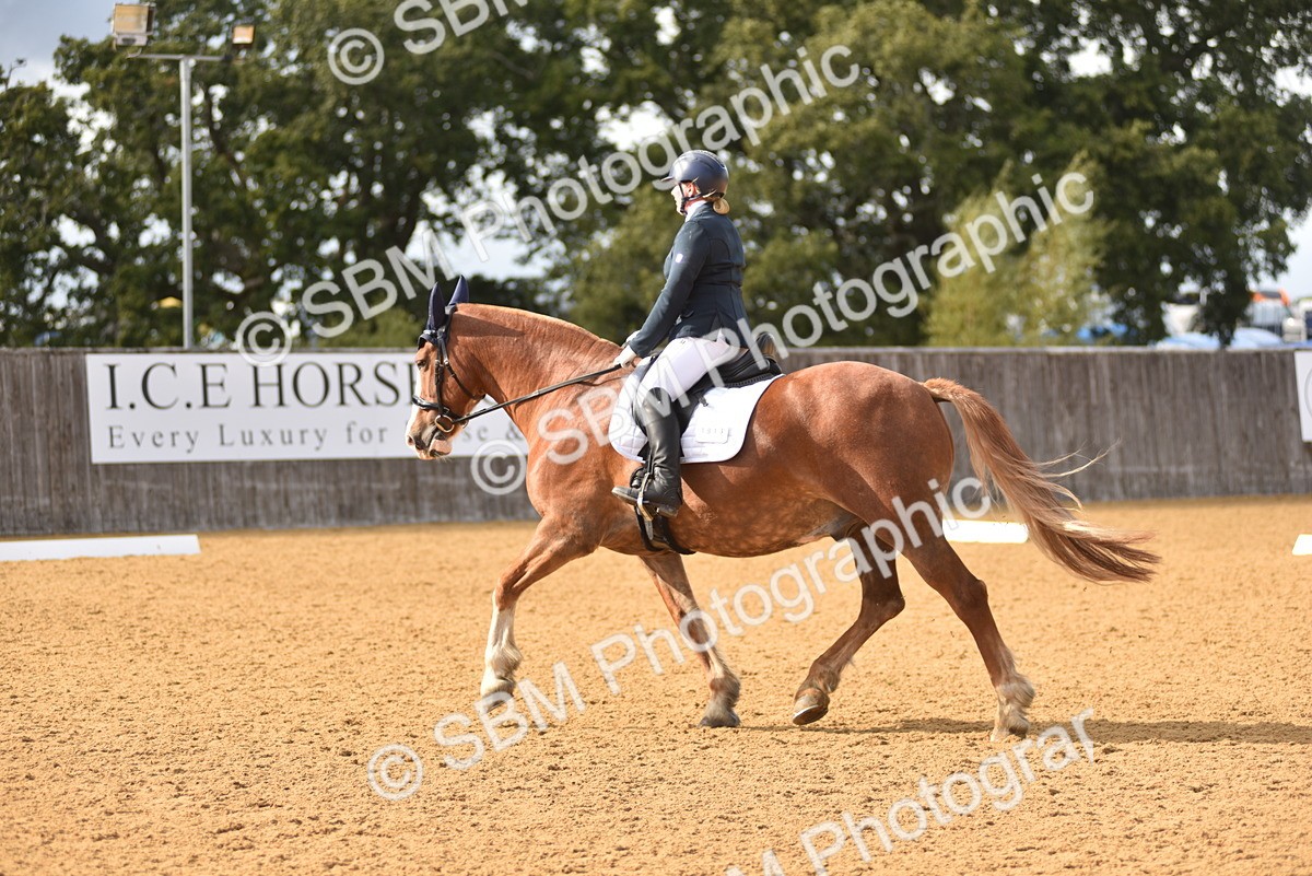 SBM_24388 - D4 - Small Tour Championship Intro 4