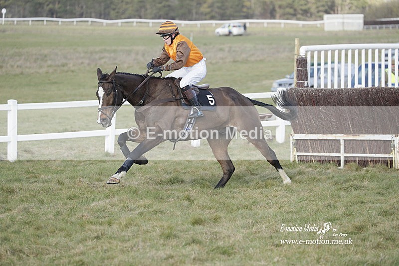 PtP 260223 969 - South & West Wilts Point-to-Point Larkhill 26/02/23
