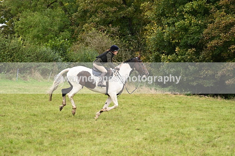 WJ7_4197 - Camera 1 Line 2