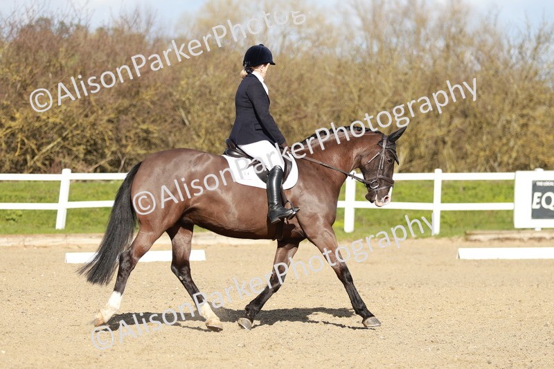 20260314-4463 - DR4 - Prelim 2