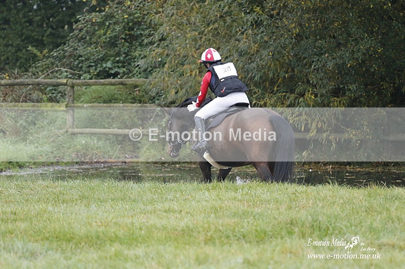 WWHT 171021 0455 - Novice Restricted (0.80m)  17/10/21