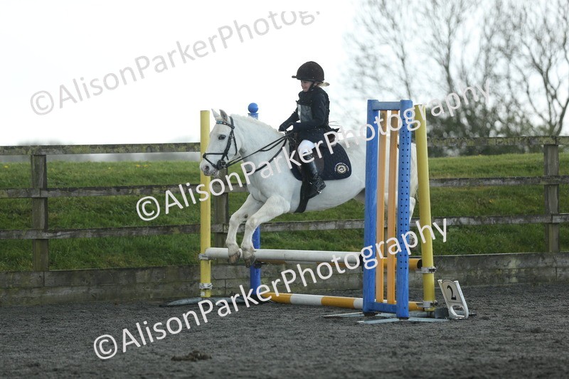 20260412-1931 - Show Jumping