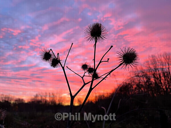 PhotoMynottART118 - Photo Mynott ART Images