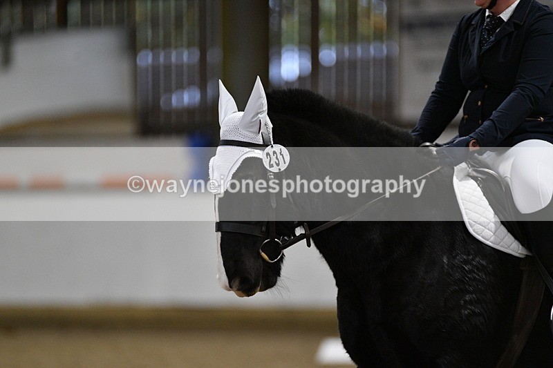 WJ5_8210 - Time 13:55 to 15:16