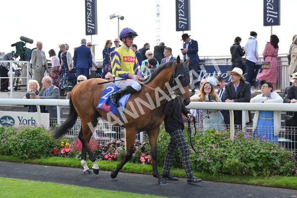 yr18082021r1-43 - Race 1 1.50pm Sky Bet & Symphony Group Stakes