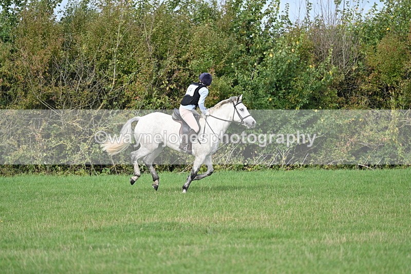 WJ7_8419 - 60cm Pairs