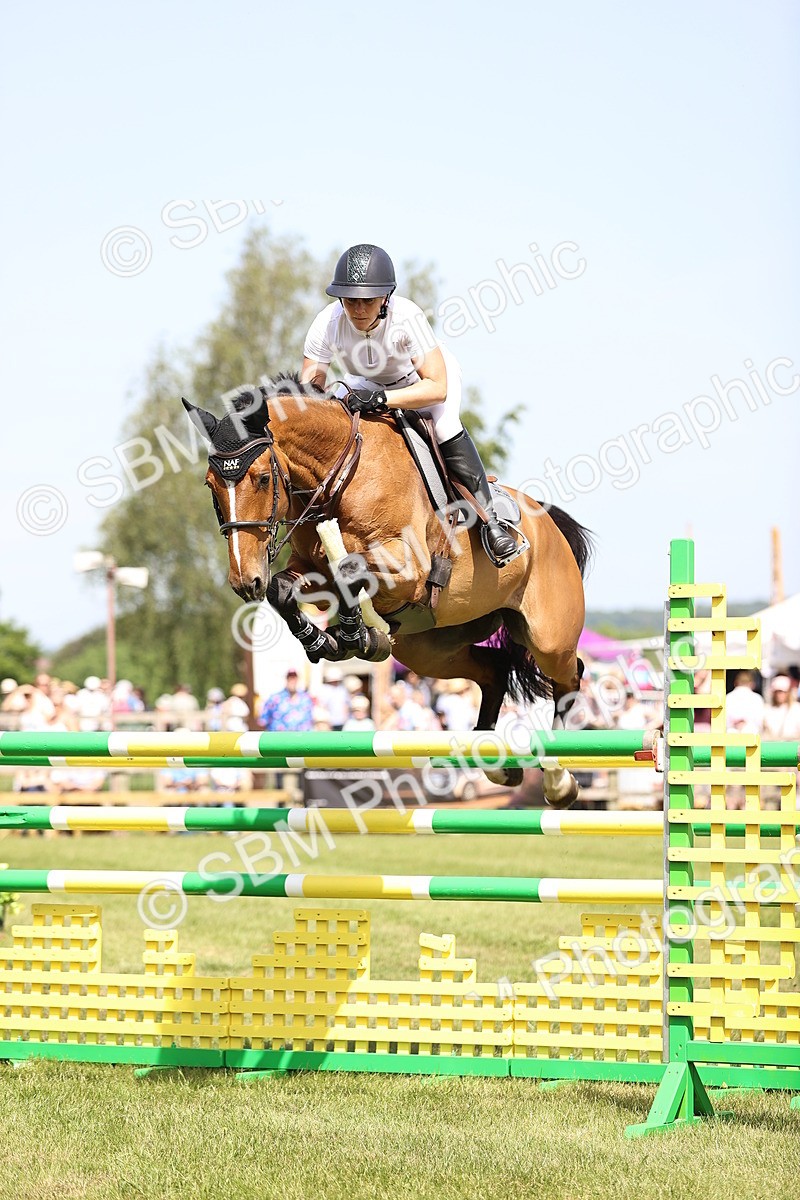SBM_03953 - Class 201 - British Horse Feedds Speedi Beet HOYS Grade C
