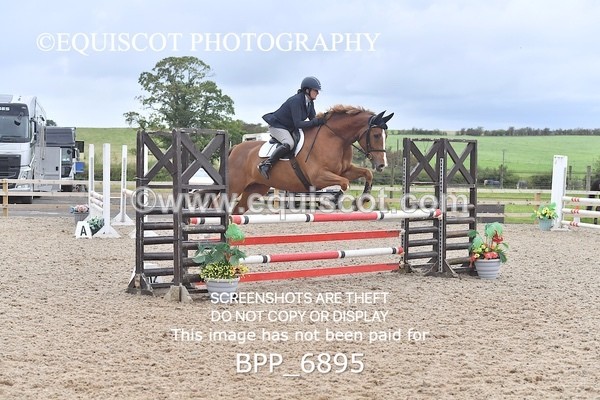 BPP_6895 - CLASS 2 Senior British Novice/ 90cm Open